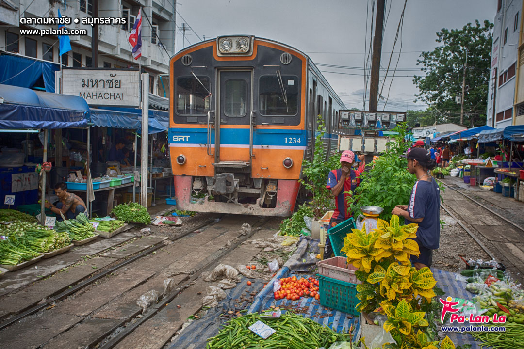 Mahachai Market